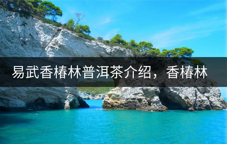 易武香椿林普洱茶介紹，香椿林古樹茶口感特點(diǎn)