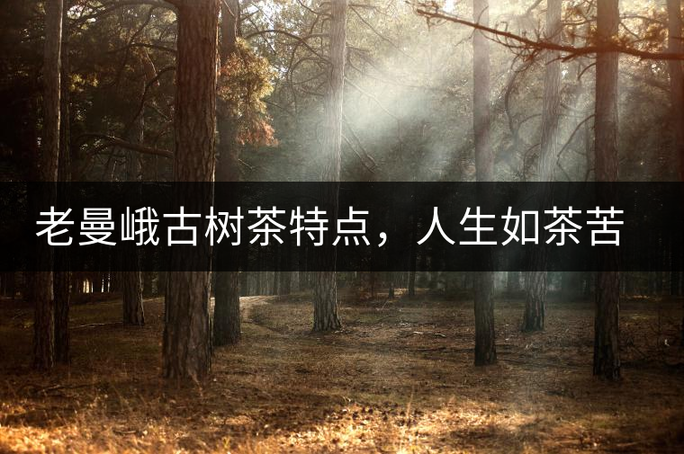 老曼峨古樹(shù)茶特點(diǎn)，人生如茶苦盡甘來(lái)