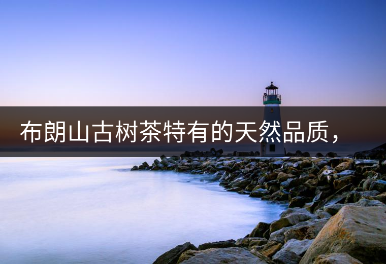 布朗山古樹茶特有的天然品質(zhì)，給健康生活保駕護(hù)航