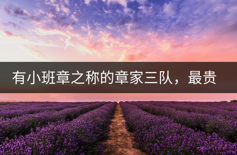 有小班章之稱的章家三隊(duì)，最貴的小樹茶