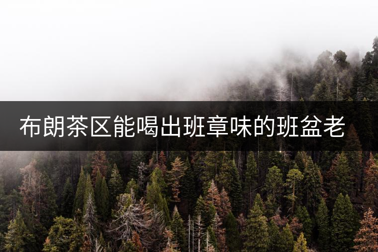 布朗茶區(qū)能喝出班章味的班盆老寨你知道嗎？