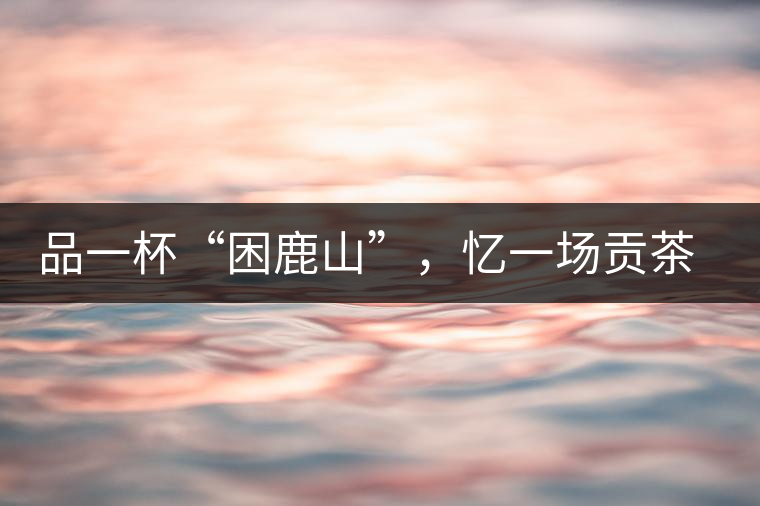 品一杯“困鹿山”，憶一場(chǎng)貢茶情