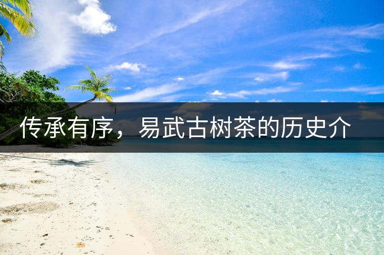 傳承有序，易武古樹茶的歷史介紹