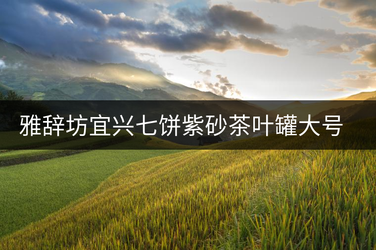 雅辭坊宜興七餅紫砂茶葉罐大號(hào)普洱存儲(chǔ)茶罐缸家用密封罐陶瓷茶具 雅辭坊宜興七餅紫砂茶葉罐大號(hào)普洱存儲(chǔ)茶罐缸家用密封罐陶瓷茶具