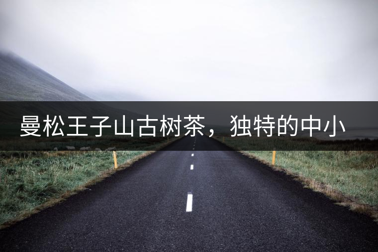 曼松王子山古樹(shù)茶，獨(dú)特的中小葉種珍品貢茶