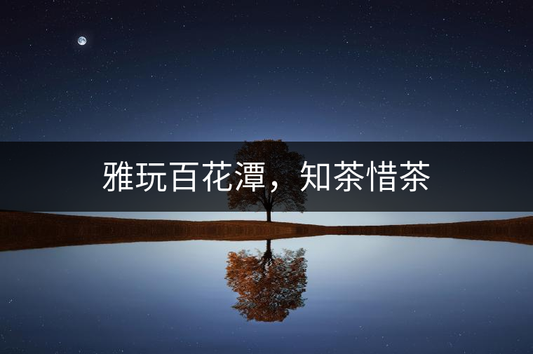 雅玩百花潭，知茶惜茶