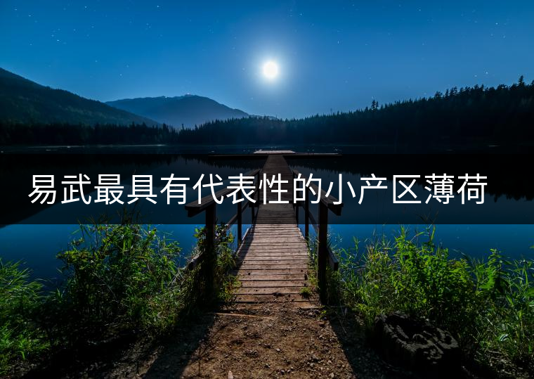 易武最具有代表性的小產(chǎn)區(qū)薄荷塘，一滴都不舍得浪費(fèi)