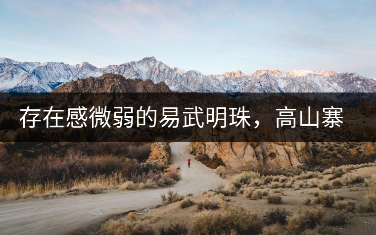 存在感微弱的易武明珠，高山寨古樹茶介紹