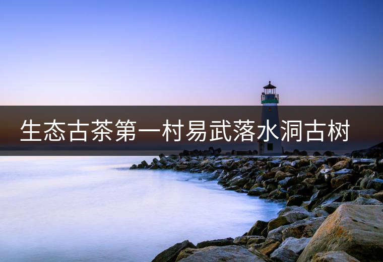 生態(tài)古茶第一村易武落水洞古樹(shù)茶 生態(tài)古茶第一村易武落水洞古樹(shù)茶