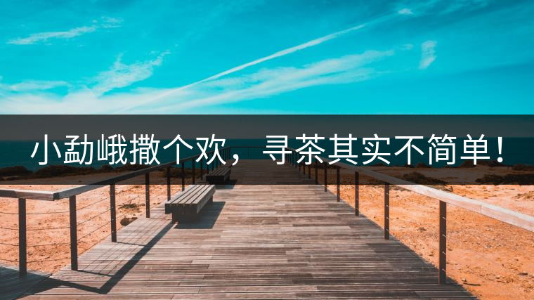 小勐峨撒個歡，尋茶其實不簡單！