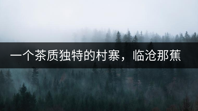 一個茶質獨特的村寨，臨滄那蕉古樹茶介紹