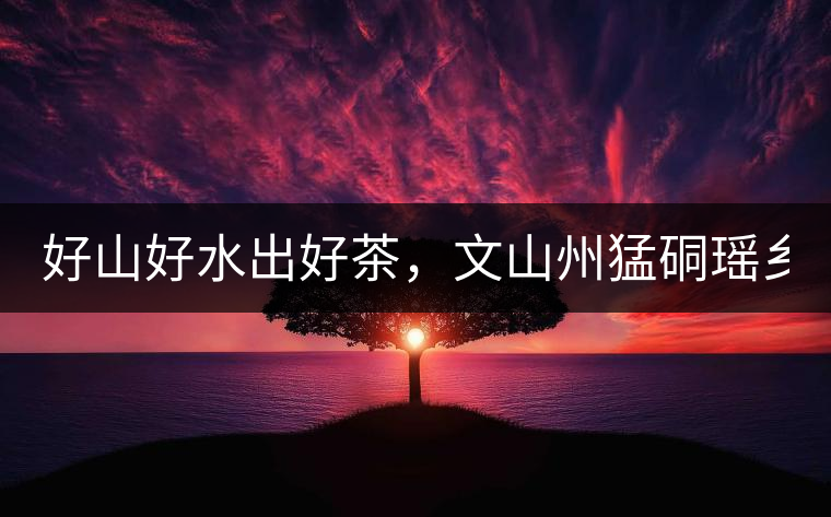 好山好水出好茶，文山州猛硐瑤鄉(xiāng)茶！