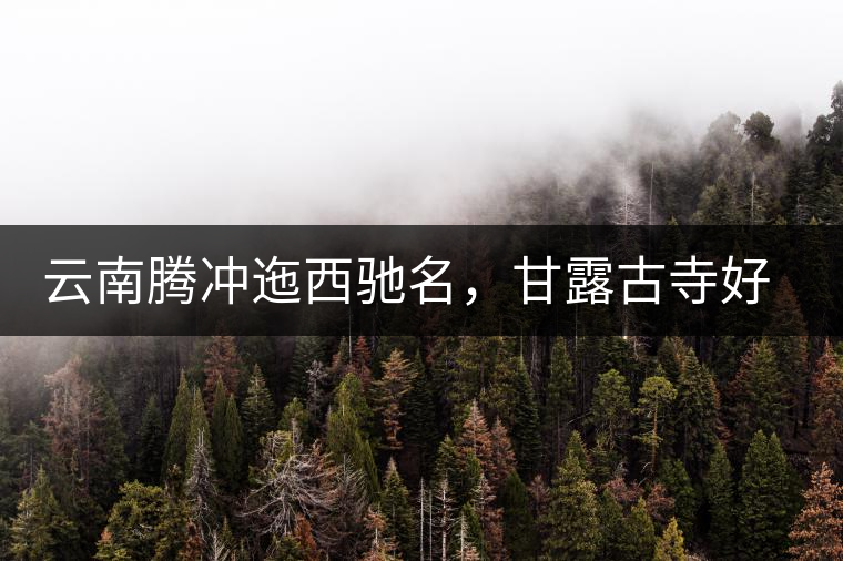 云南騰沖迤西馳名，甘露古寺好茶