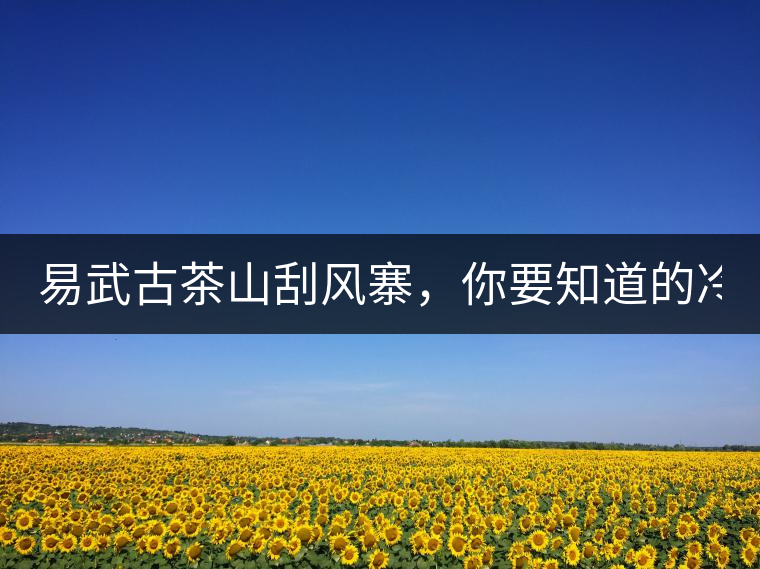 易武古茶山刮風(fēng)寨，你要知道的冷知識(shí)！