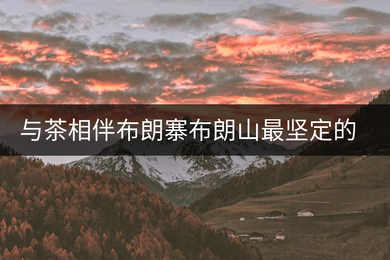 與茶相伴布朗寨布朗山最堅(jiān)定的守護(hù)者