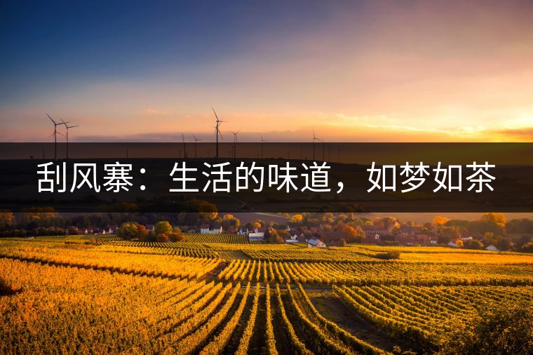 刮風(fēng)寨：生活的味道，如夢(mèng)如茶