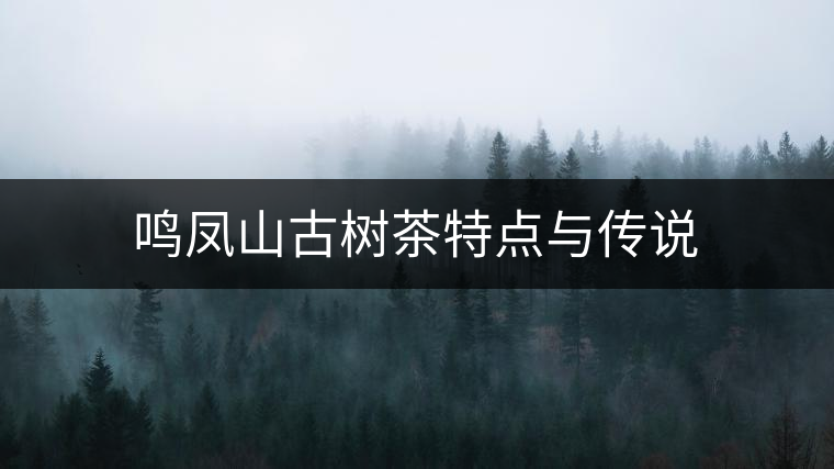 鳴鳳山古樹茶特點與傳說