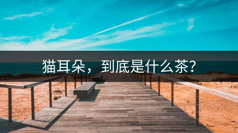 貓耳朵，到底是什么茶？