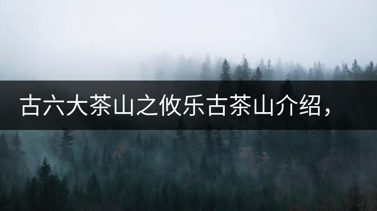 古六大茶山之攸樂(lè)古茶山介紹，攸樂(lè)古樹茶口感特點(diǎn)