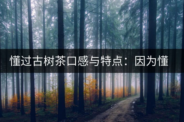 懂過古樹茶口感與特點：因為懂得，所以舍得用余生來珍惜！