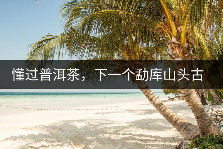 懂過普洱茶，下一個勐庫山頭古純的引爆點