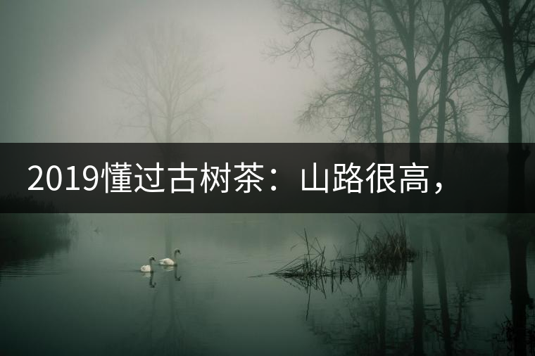 2019懂過(guò)古樹(shù)茶：山路很高，可仍然有執(zhí)著走向深山的人