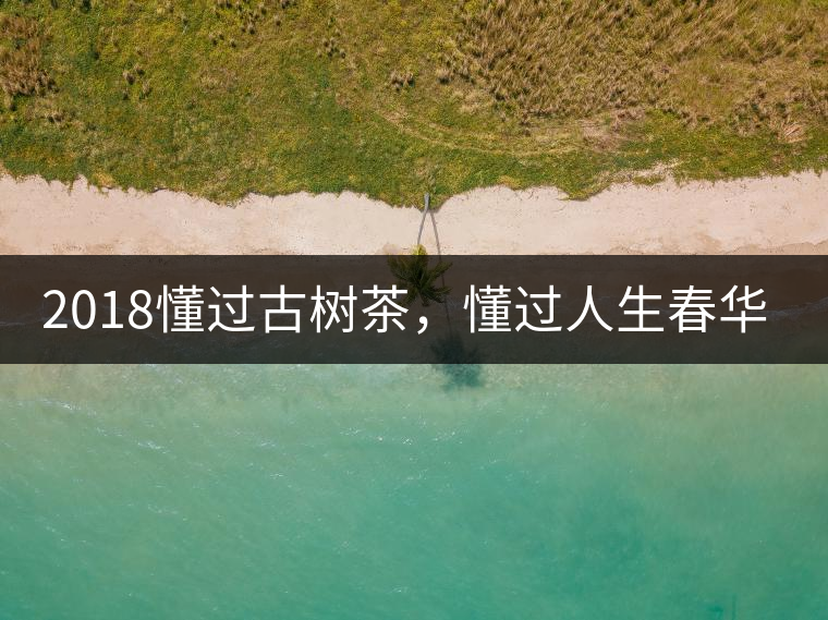 2018懂過古樹茶，懂過人生春華秋實！