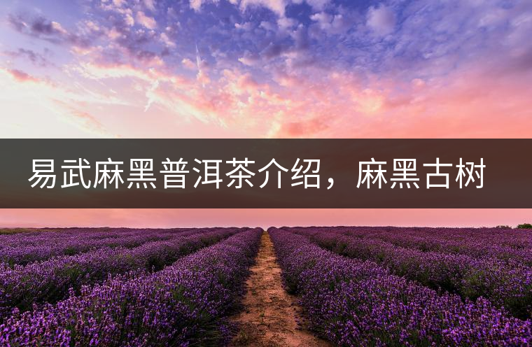 易武麻黑普洱茶介紹，麻黑古樹茶口感特點