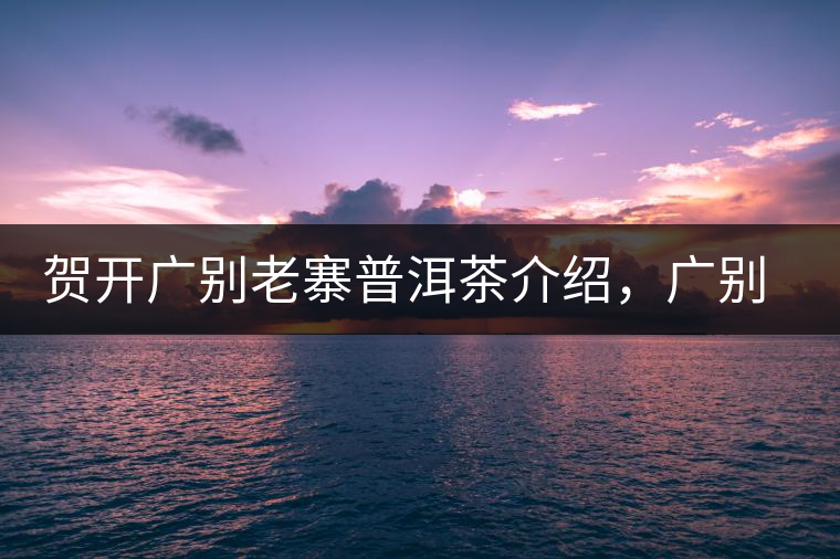 賀開廣別老寨普洱茶介紹，廣別老寨古樹茶口感特點(diǎn)