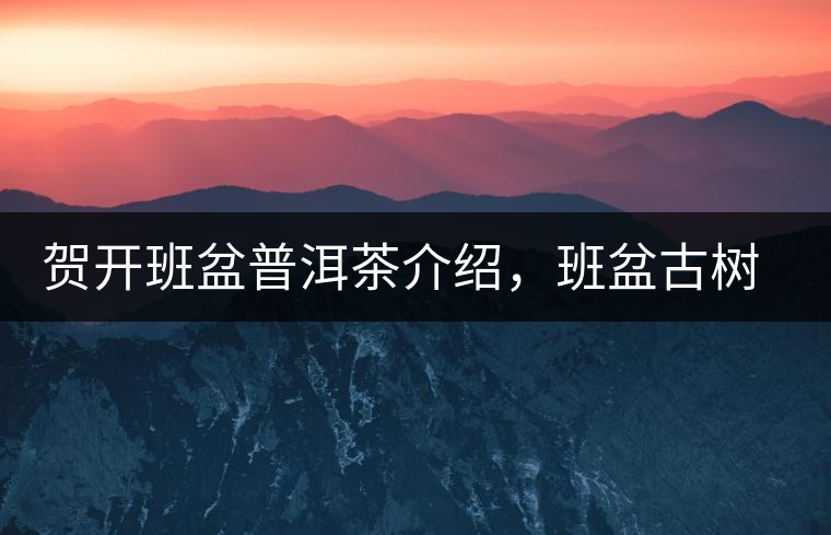 賀開班盆普洱茶介紹，班盆古樹茶口感特點(diǎn)