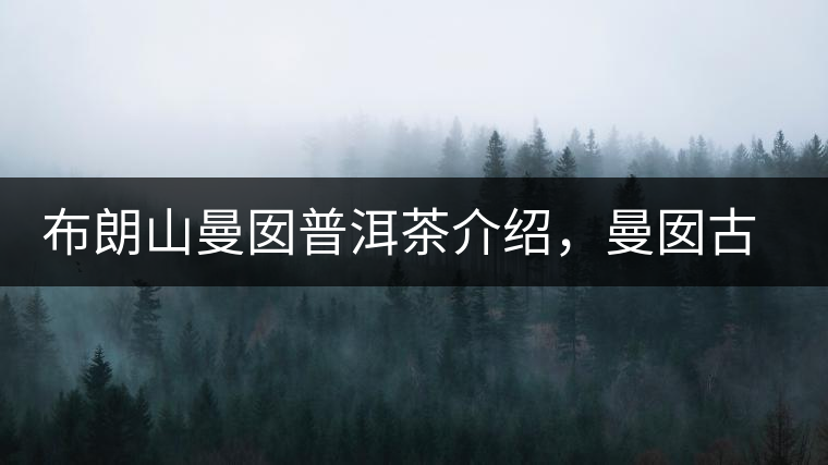 布朗山曼囡普洱茶介紹，曼囡古樹茶口感特點