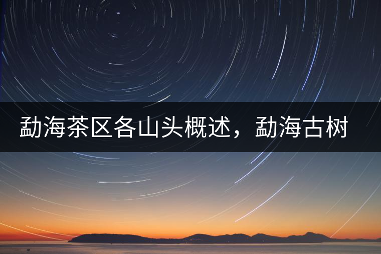 勐海茶區(qū)各山頭概述，勐海古樹茶口感特點(diǎn)