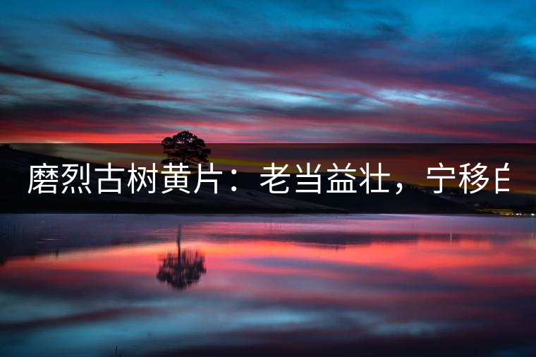 磨烈古樹黃片：老當(dāng)益壯，寧移白首之心！