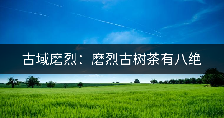 古域磨烈:磨烈古樹茶有八絕 古域磨烈:磨烈古樹茶有八絕