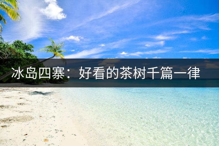 冰島四寨：好看的茶樹千篇一律，有趣的風景萬里