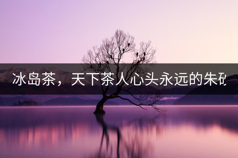 冰島茶，天下茶人心頭永遠(yuǎn)的朱砂痣！