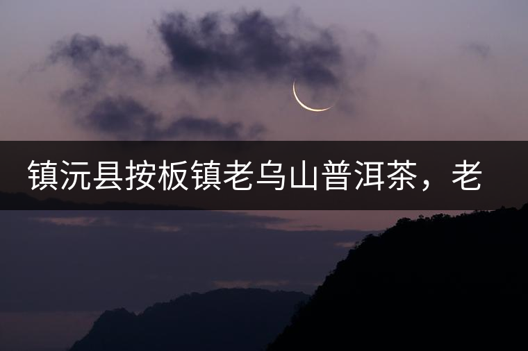 鎮(zhèn)沅縣按板鎮(zhèn)老烏山普洱茶，老烏山古樹茶口感特點(diǎn)
