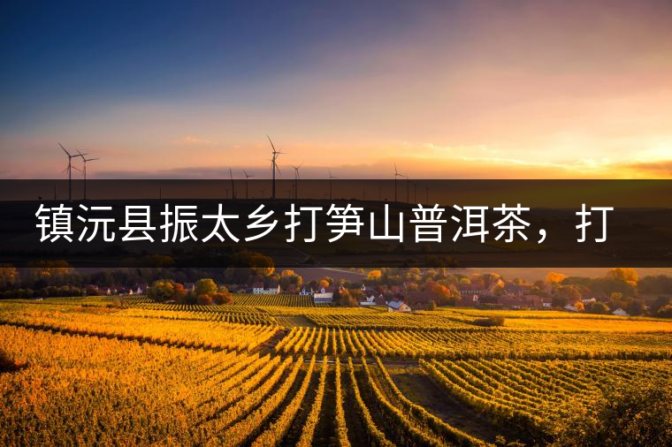 鎮(zhèn)沅縣振太鄉(xiāng)打筍山普洱茶，打筍山古樹(shù)茶口感特點(diǎn)