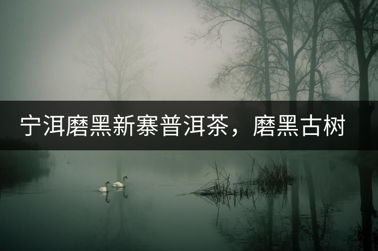 寧洱磨黑新寨普洱茶，磨黑古樹(shù)茶口感特點(diǎn)