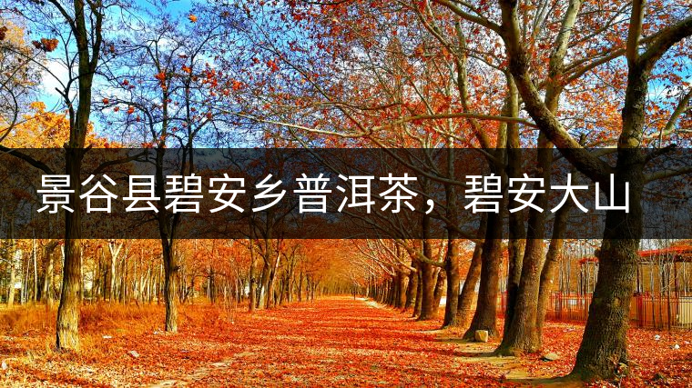 景谷縣碧安鄉(xiāng)普洱茶，碧安大山古樹茶口感特點(diǎn)