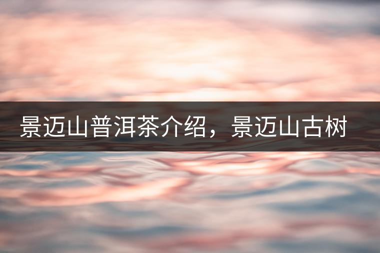 景邁山普洱茶介紹，景邁山古樹茶口感特點