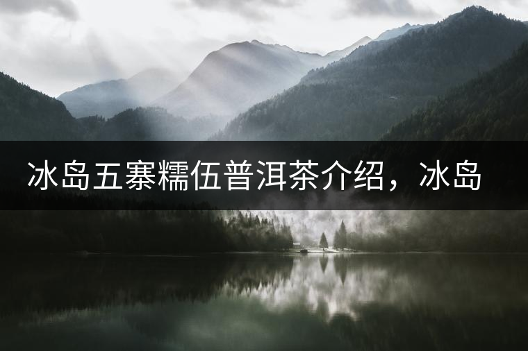 冰島五寨糯伍普洱茶介紹，冰島糯伍古樹茶口感特點
