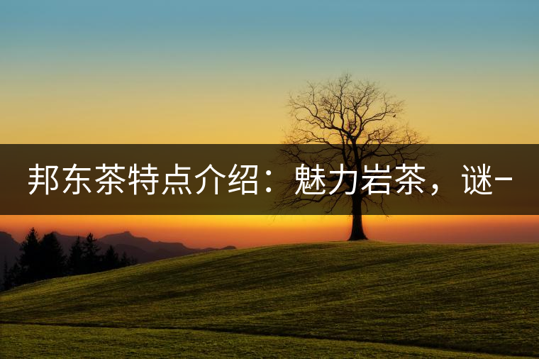 邦東茶特點介紹：魅力巖茶，謎一樣的邦東！