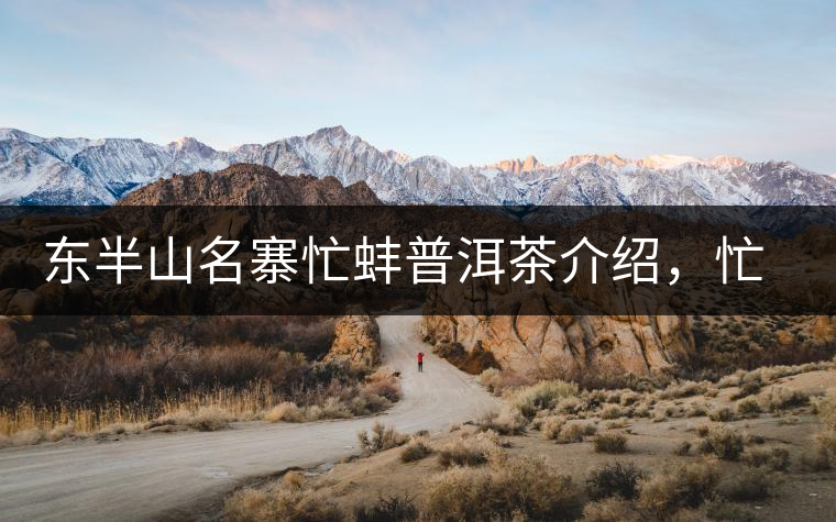 東半山名寨忙蚌普洱茶介紹，忙蚌古樹茶口感特點(diǎn)