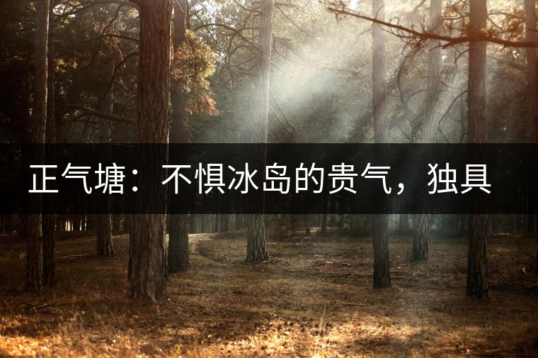 正氣塘：不懼冰島的貴氣，獨(dú)具冰島之魅力