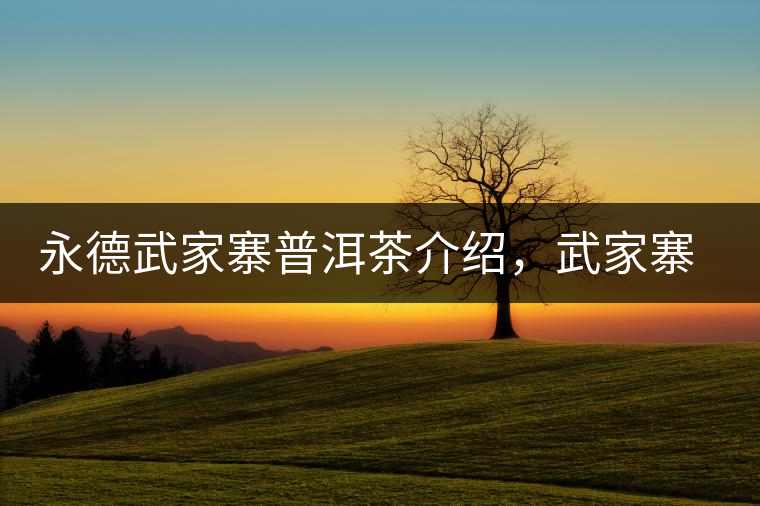 永德武家寨普洱茶介紹，武家寨古樹茶口感特點