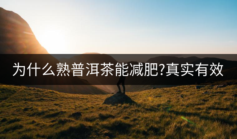 為什么熟普洱茶能減肥?真實(shí)有效嗎？