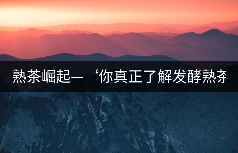 熟茶崛起—‘你真正了解發(fā)酵熟茶？’