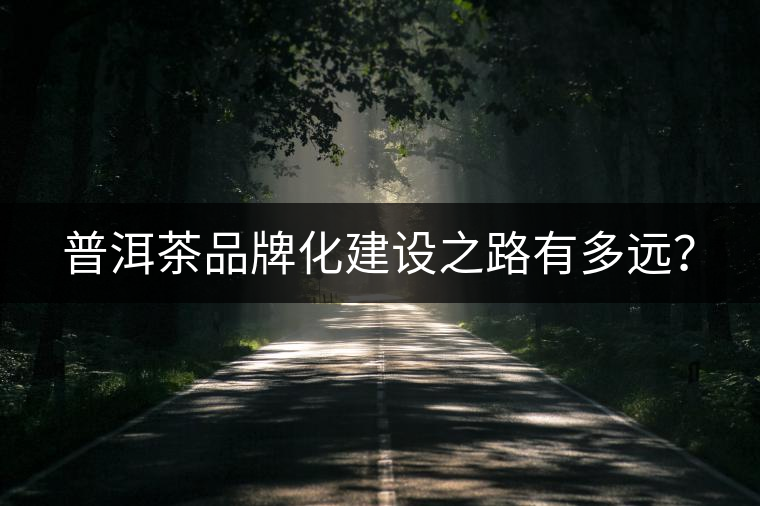 普洱茶品牌化建設(shè)之路有多遠(yuǎn)？
