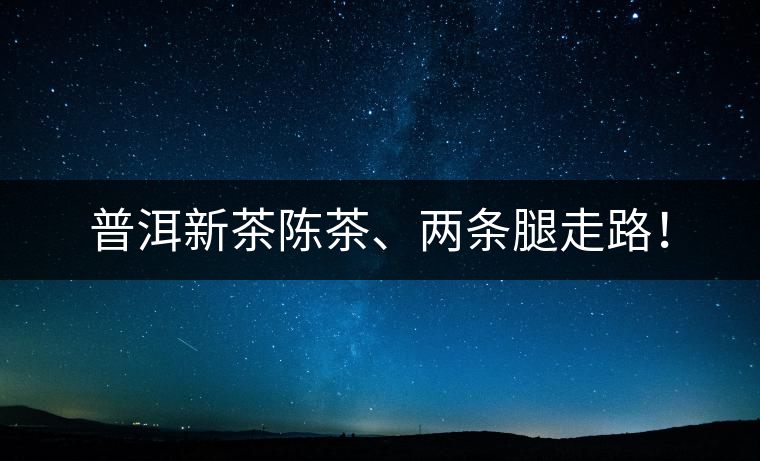 普洱新茶陳茶、兩條腿走路！